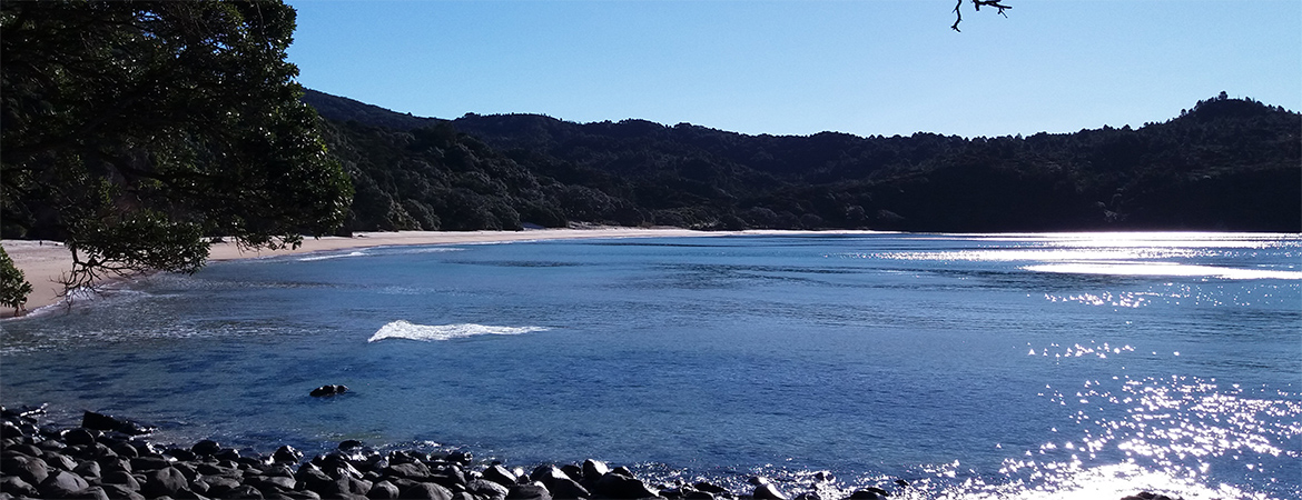 The Coromandel : a small peninsula with a big character
