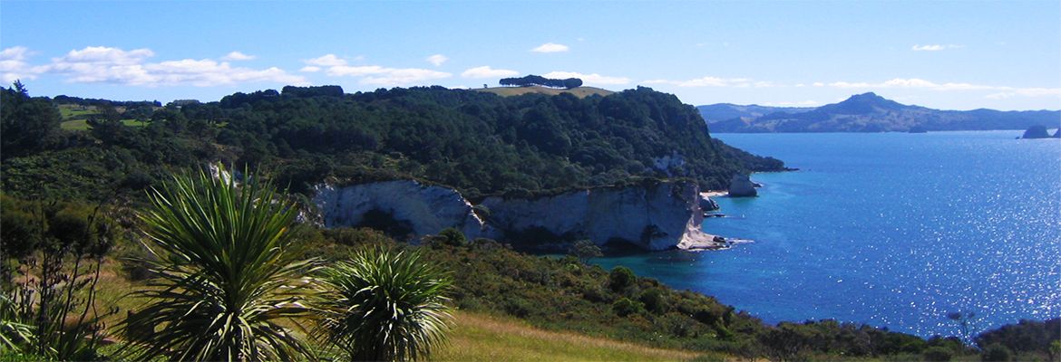Coromandel Peninsula Beaches