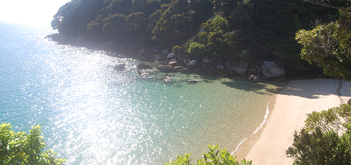 Abel Tasman Remote Coast Kayak