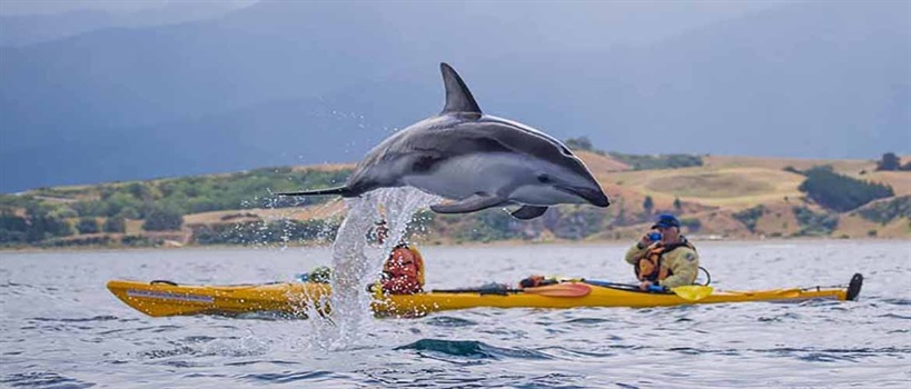 Kaikoura Kayaks Guided Family