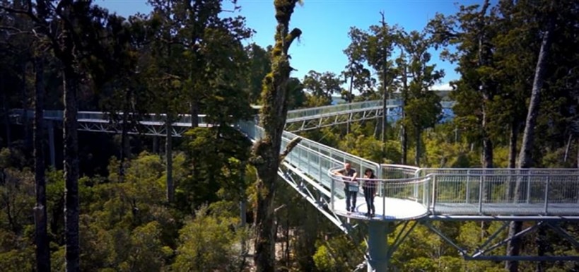 West Coast Treetop Walk