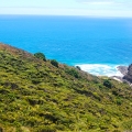 cape lighthouse