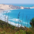 cape reinga1
