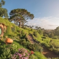 hobbiton2
