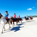horse riding pakiri beach