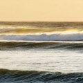 surf